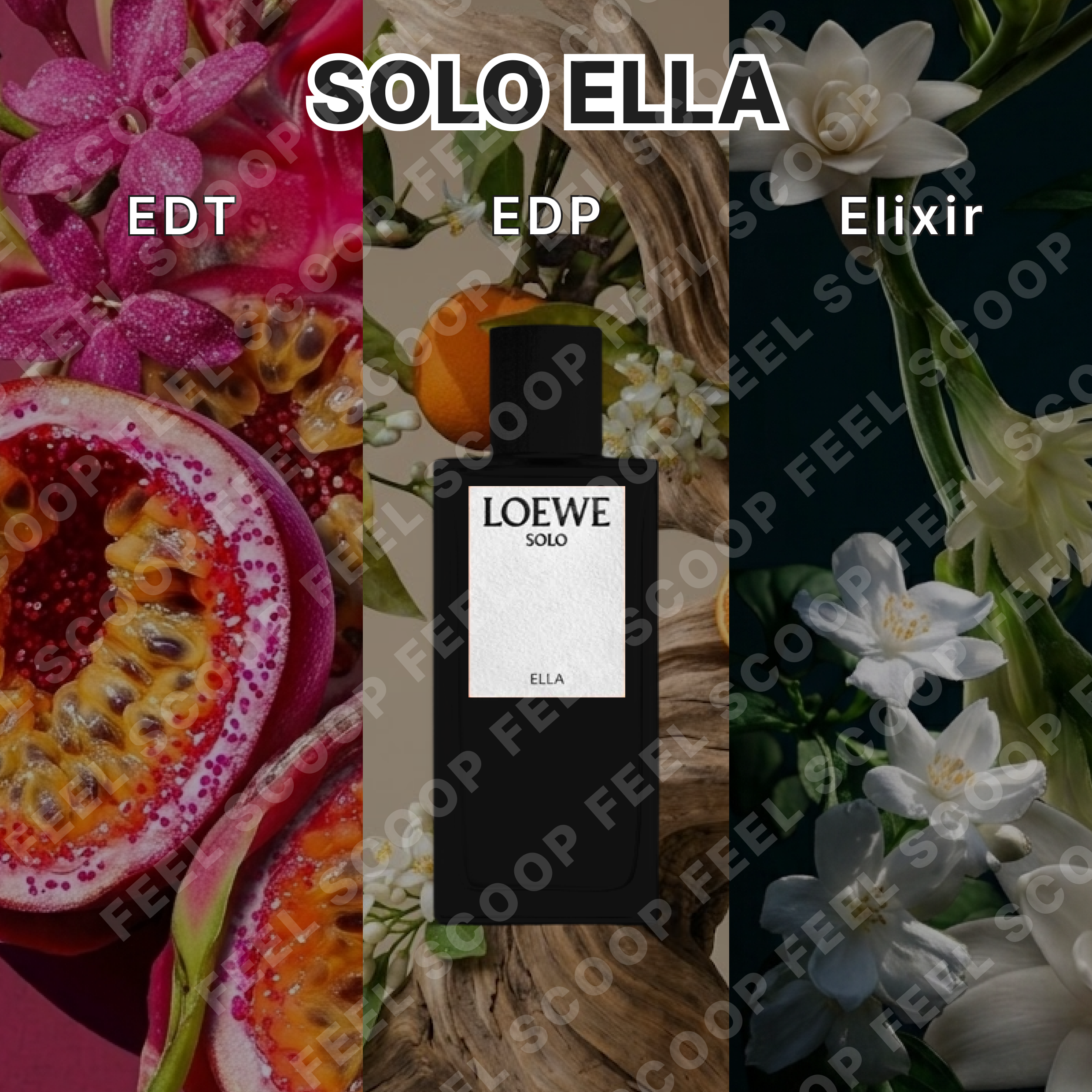 로에베 솔로 엘라(LOEWE Solo Ella) 향수 3종 비교 분석 썸네일. 왼쪽부터 패션프루트 배경의 EDT, 오렌지와 나무 배경의 EDP, 어두운 배경에 화이트 플로럴이 돋보이는 Elixir가 세로로 분할되어 배치됨. 중앙에는 검은색 로에베 솔로 엘라 보틀과 'SOLO ELLA' 텍스트가 강조되어 있음